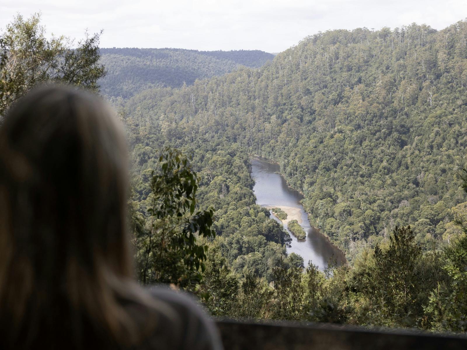 View of the Arthur River from Sumac Lookout