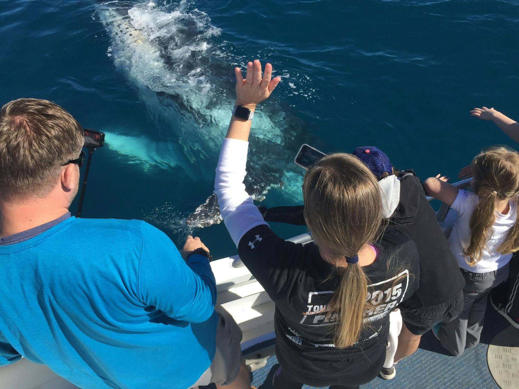 humpback from the deck