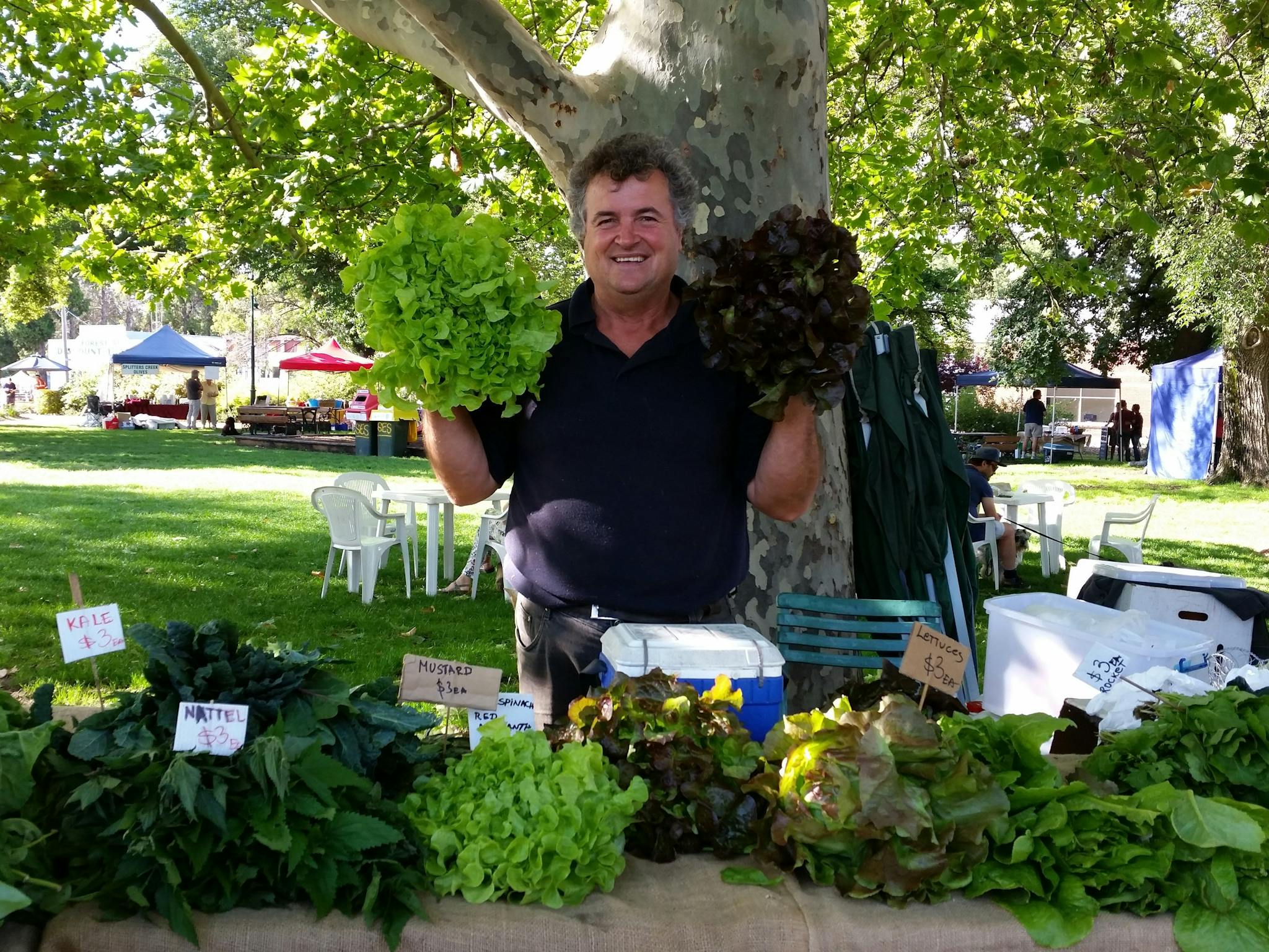 Fresh herbs and leafy greens