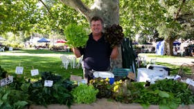 Castlemaine Farmers' Market