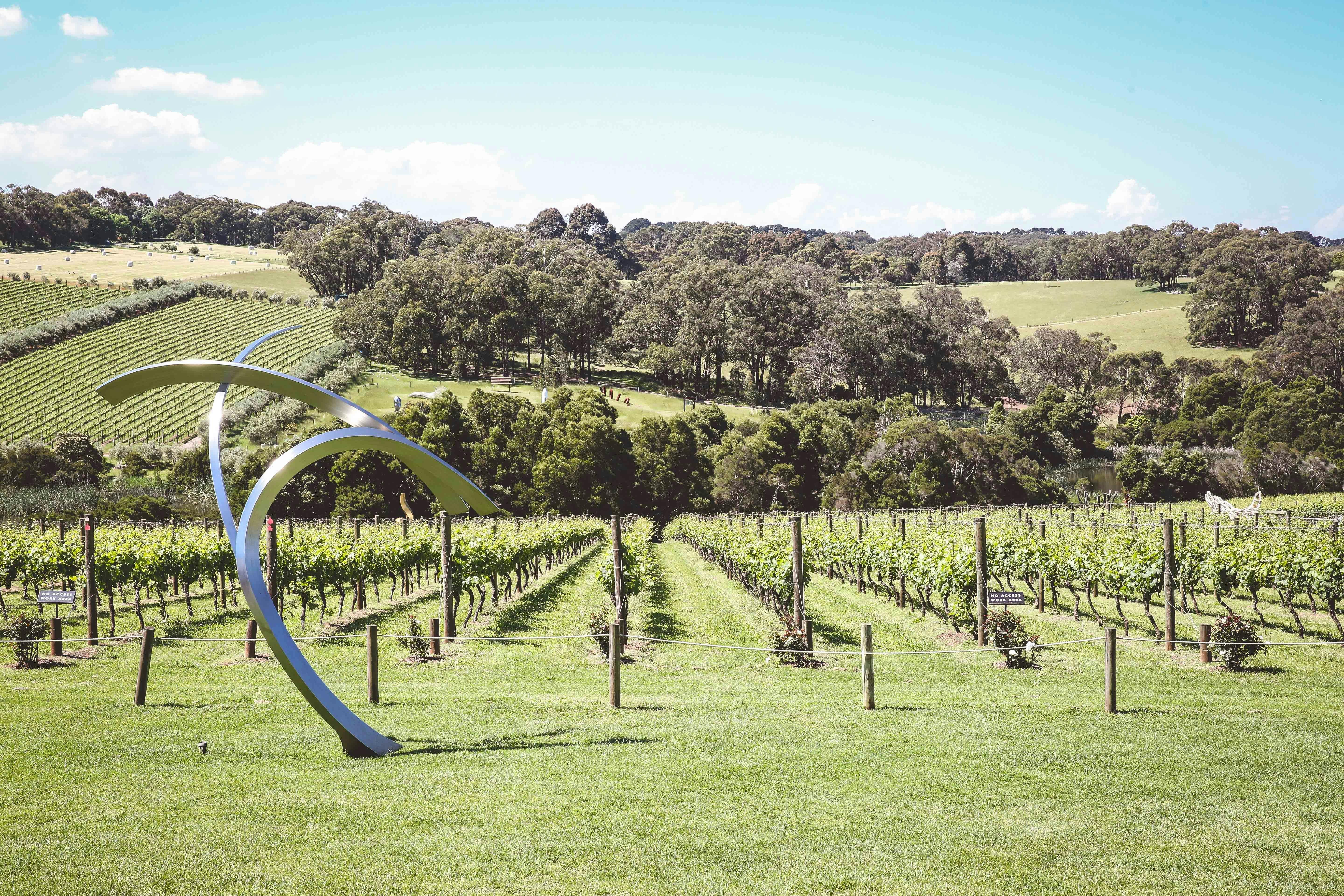 Montalto Vineyard Sculpture Trail