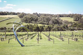 Montalto Vineyard Sculpture Trail