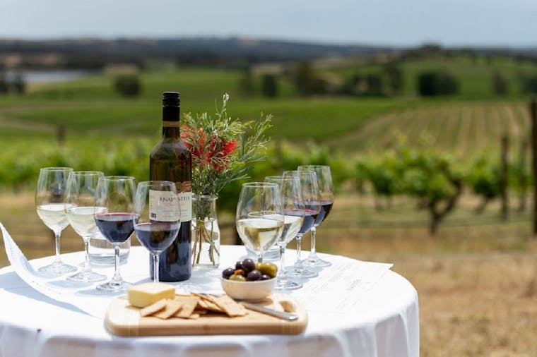 Knappstein Wines Experiences