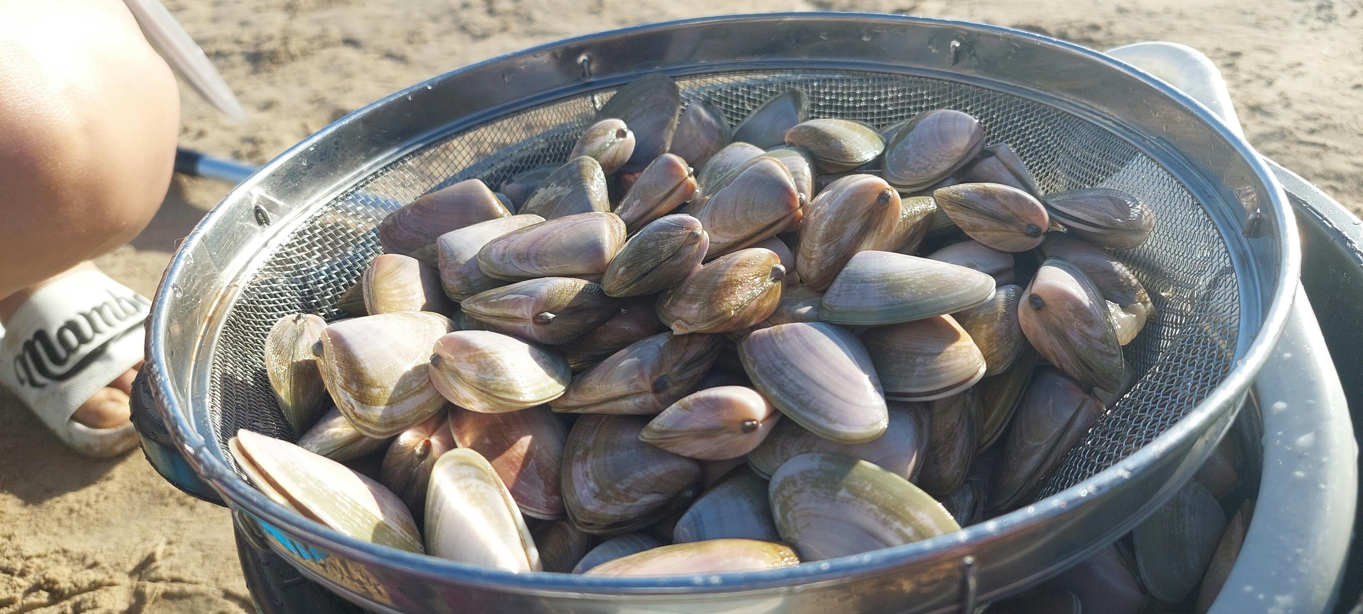 Feel the sand between your toes as you participate in a hands-on cooking experience on the beach