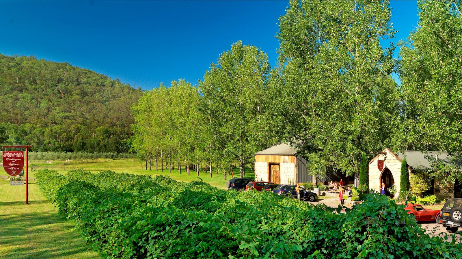 Stonehurst Cedar Creek Wines