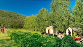 Stonehurst Cedar Creek Wines