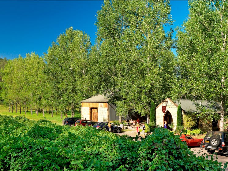 Stonehurst Cedar Creek Vineyard Hunter Valley Surrounds