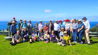 Norfolk Island groups