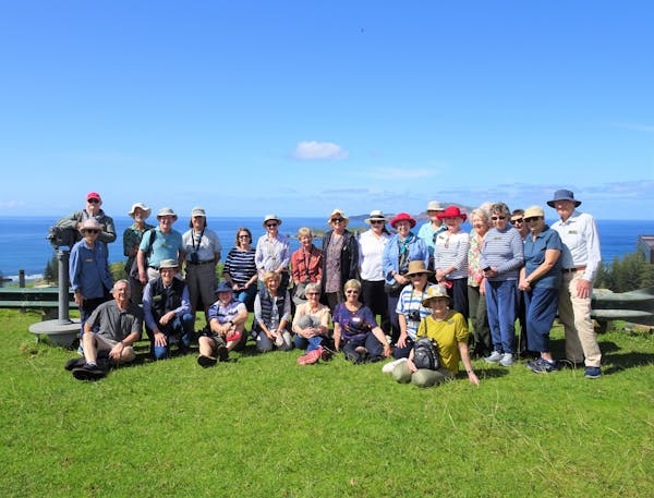 Trade Travel - Norfolk Island