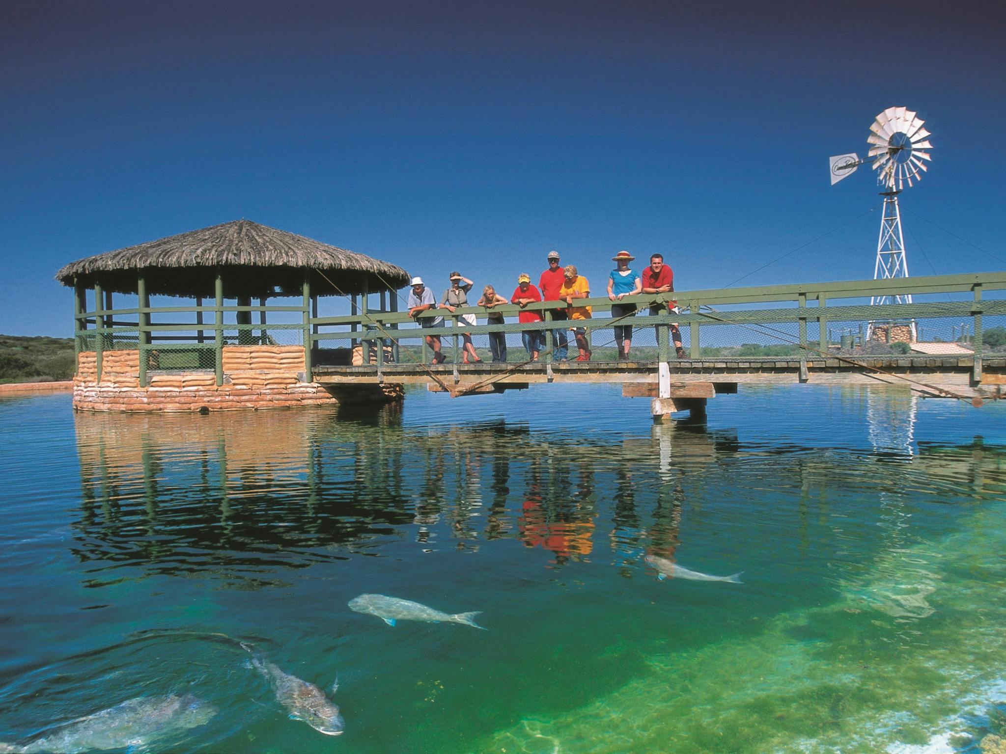 Shark Bay Marine Park, Denham, Western Australia