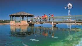 Shark Bay Marine Park
