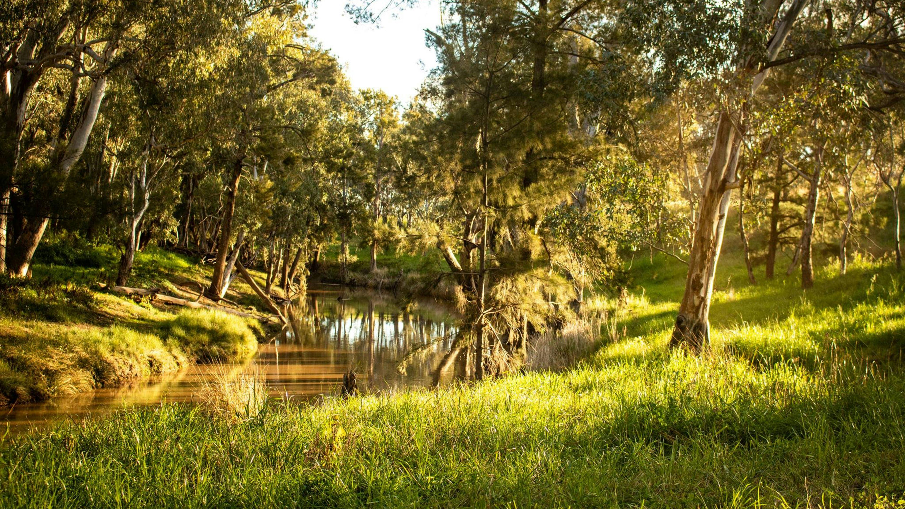 Walk along the Talbragar river
