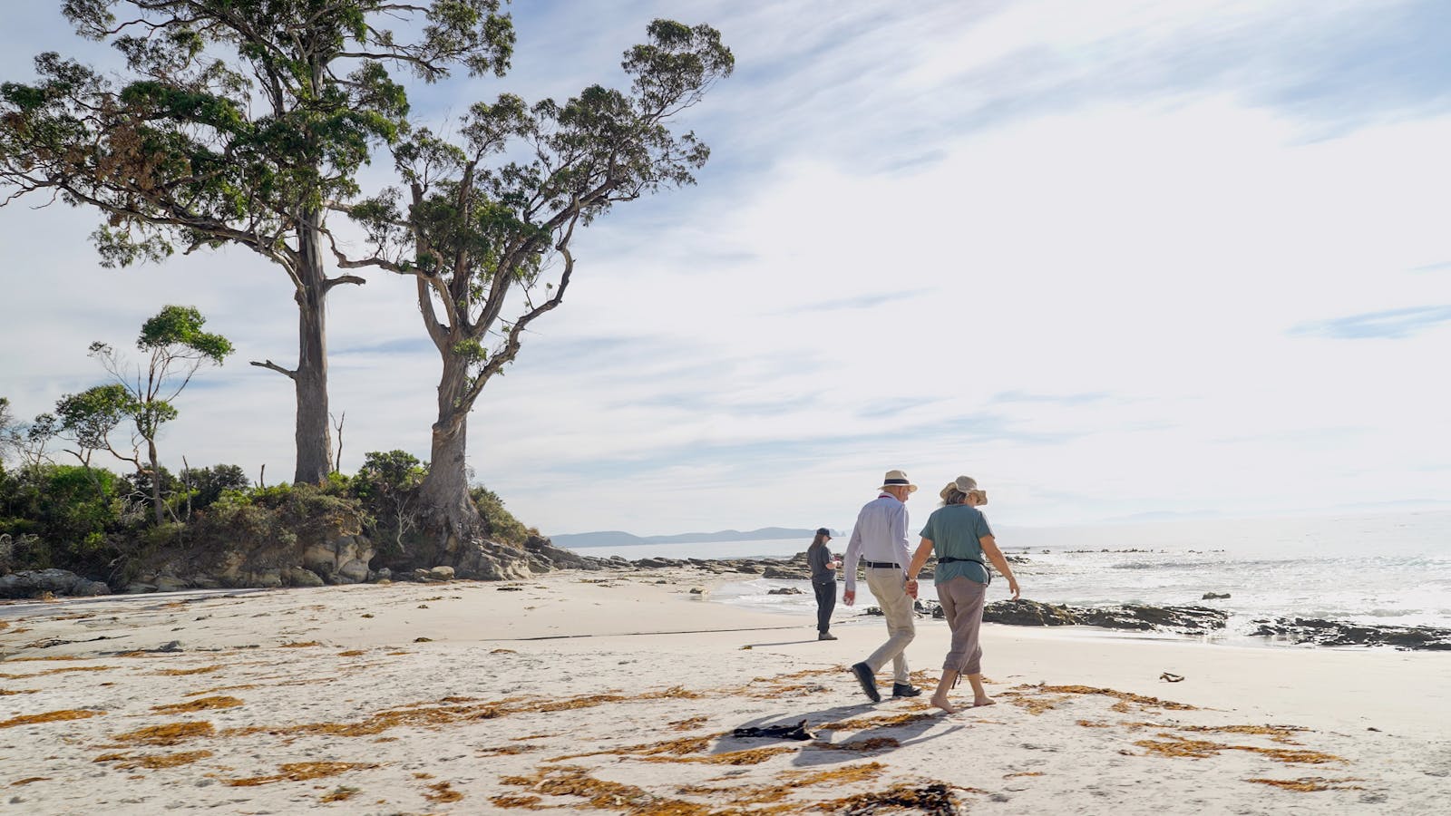 Two Tree Point