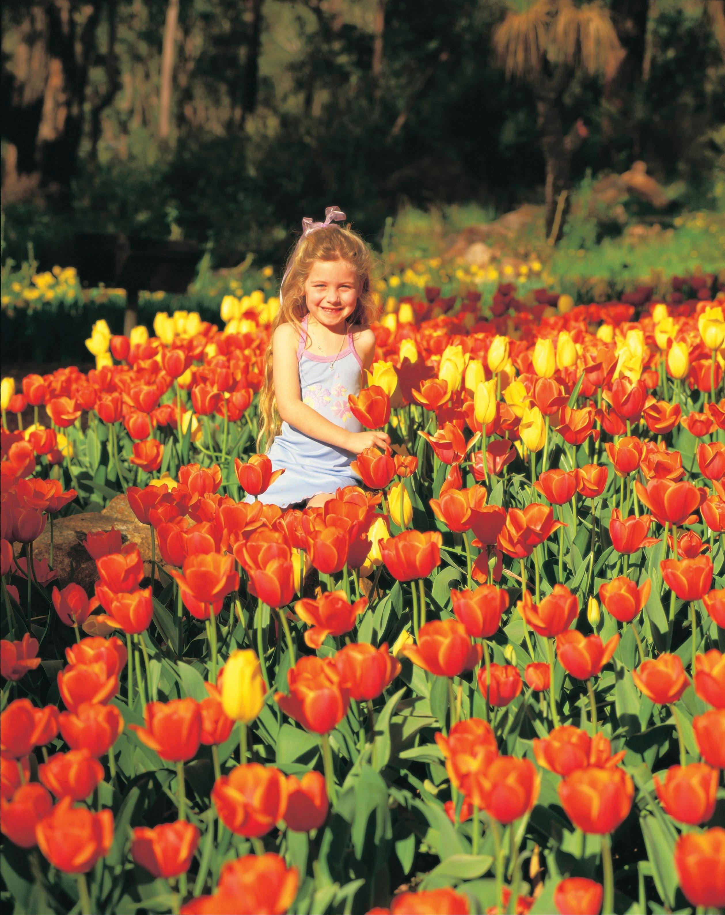 Araluen Botanic Park