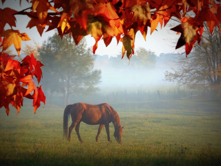 Camden Country Tour - Camden Valley Way