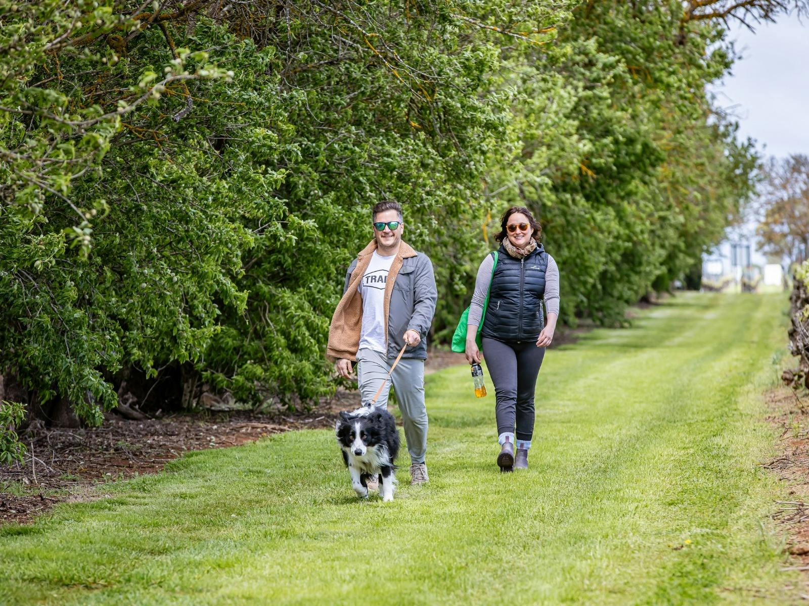 A couple walking their dog next to vines and trees at the Woof & Wine Walk 2025