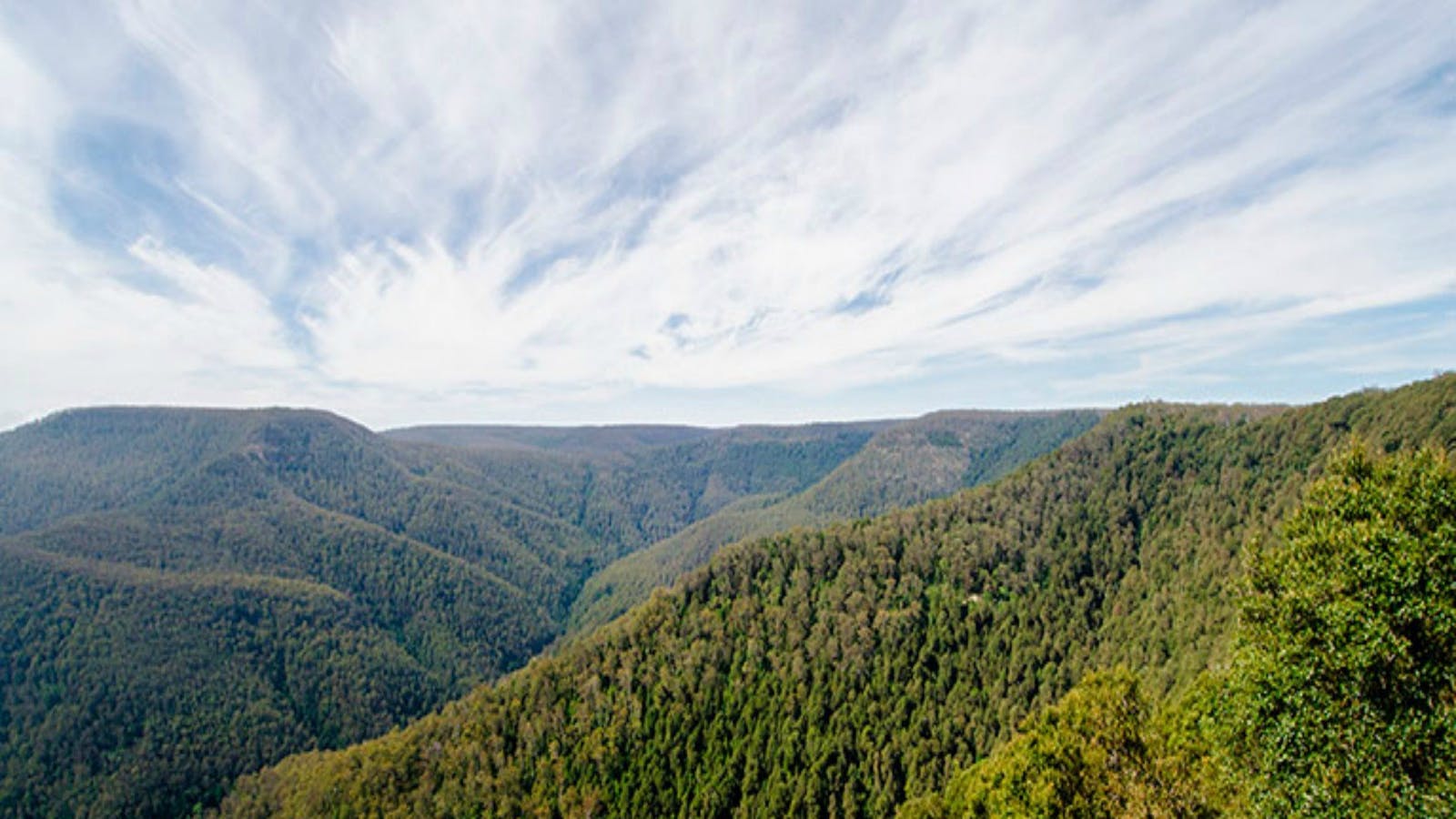 Barrington Tops National Park (Southern Gateway)