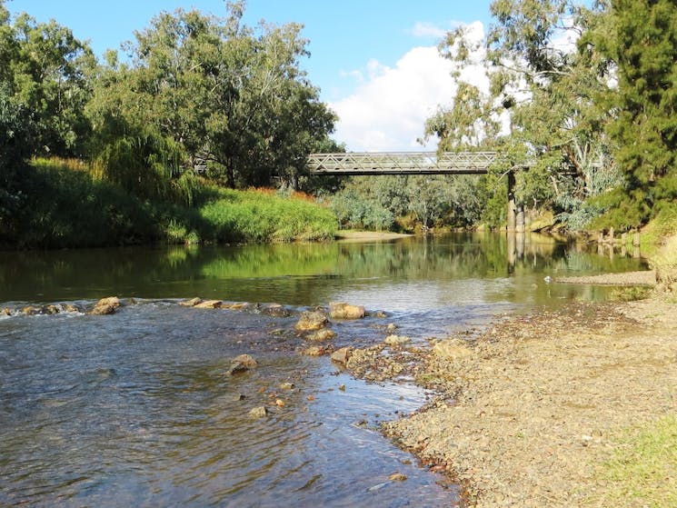 Namoi River at Cohen's Bridge
