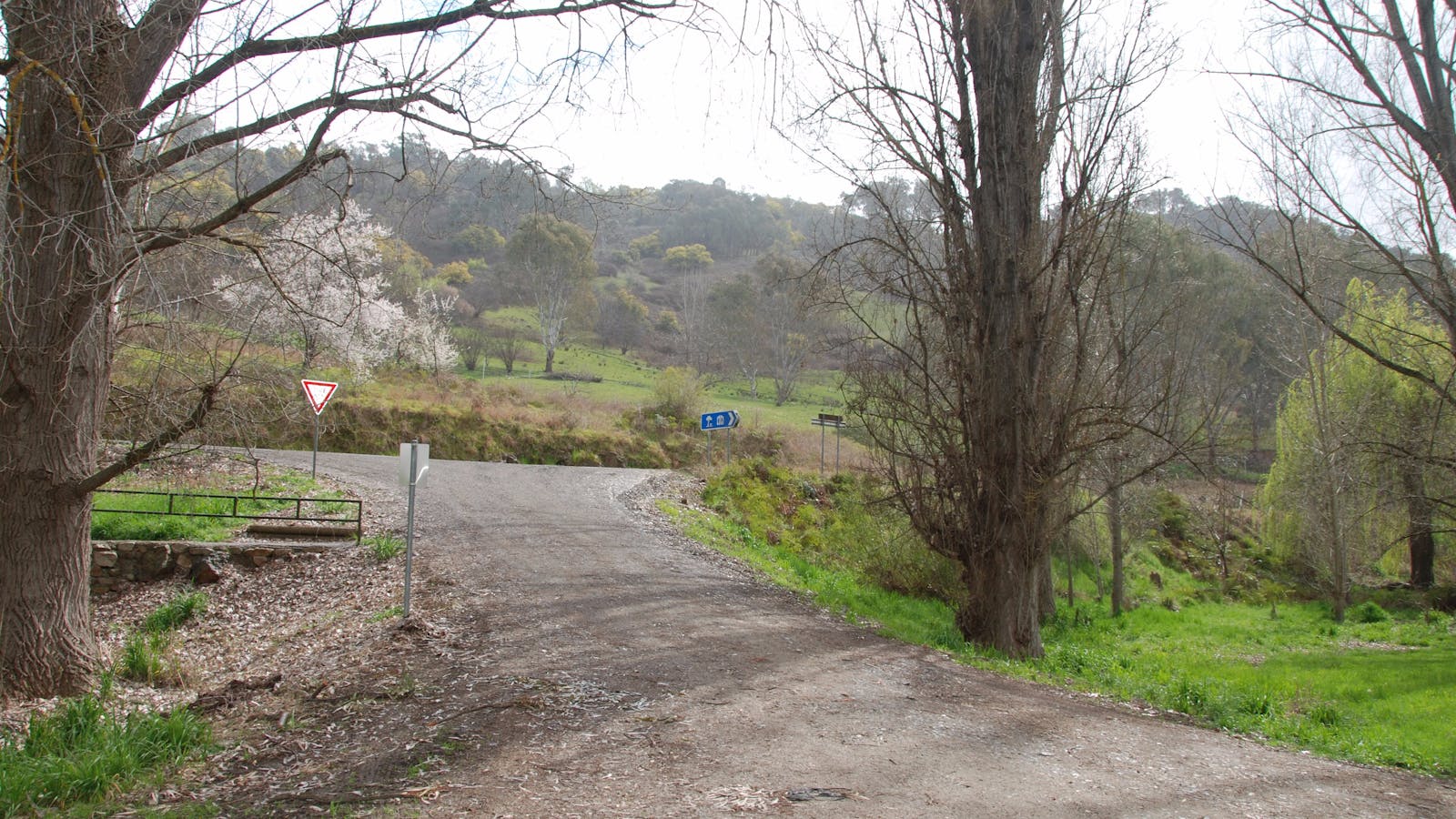 Pigs Point Streamside Reserve