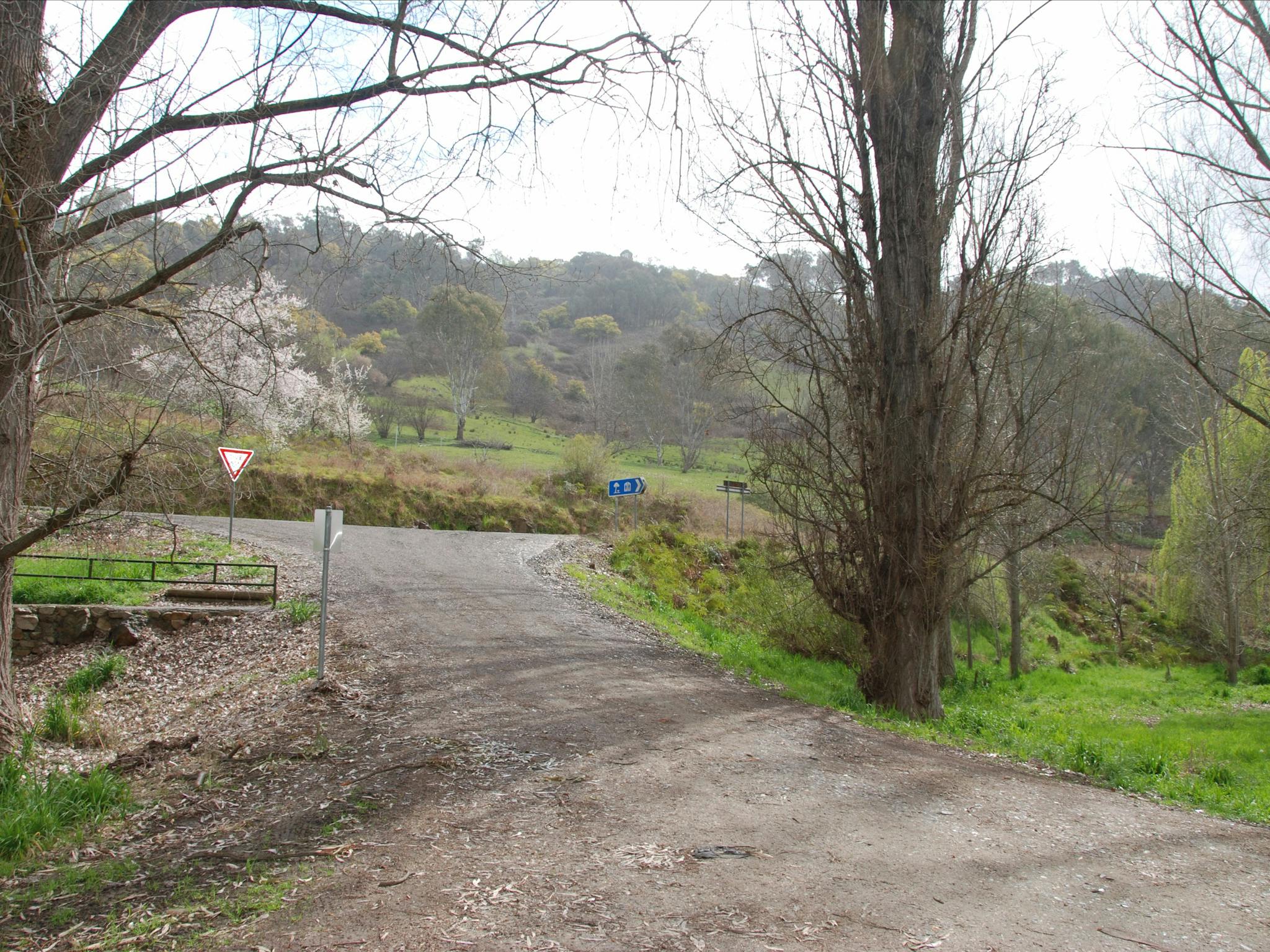 Pigs Point Streamside Reserve