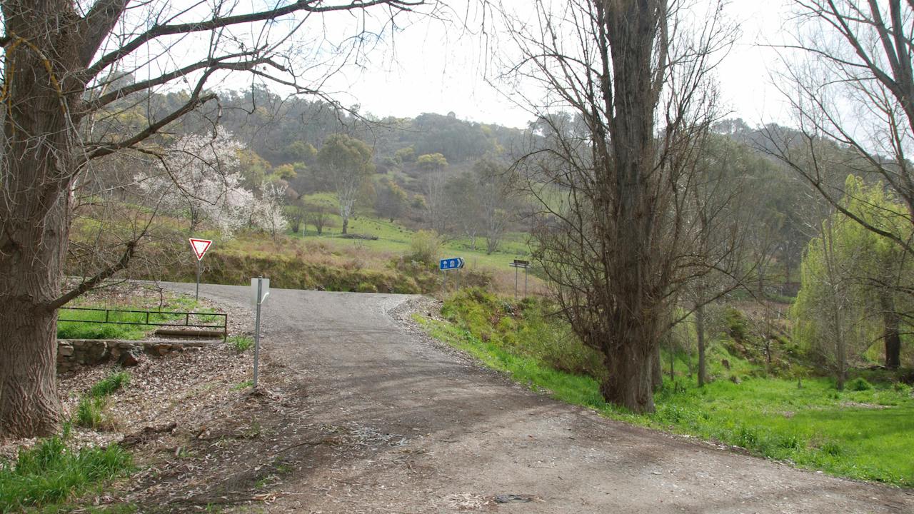 Pigs Point Streamside Reserve