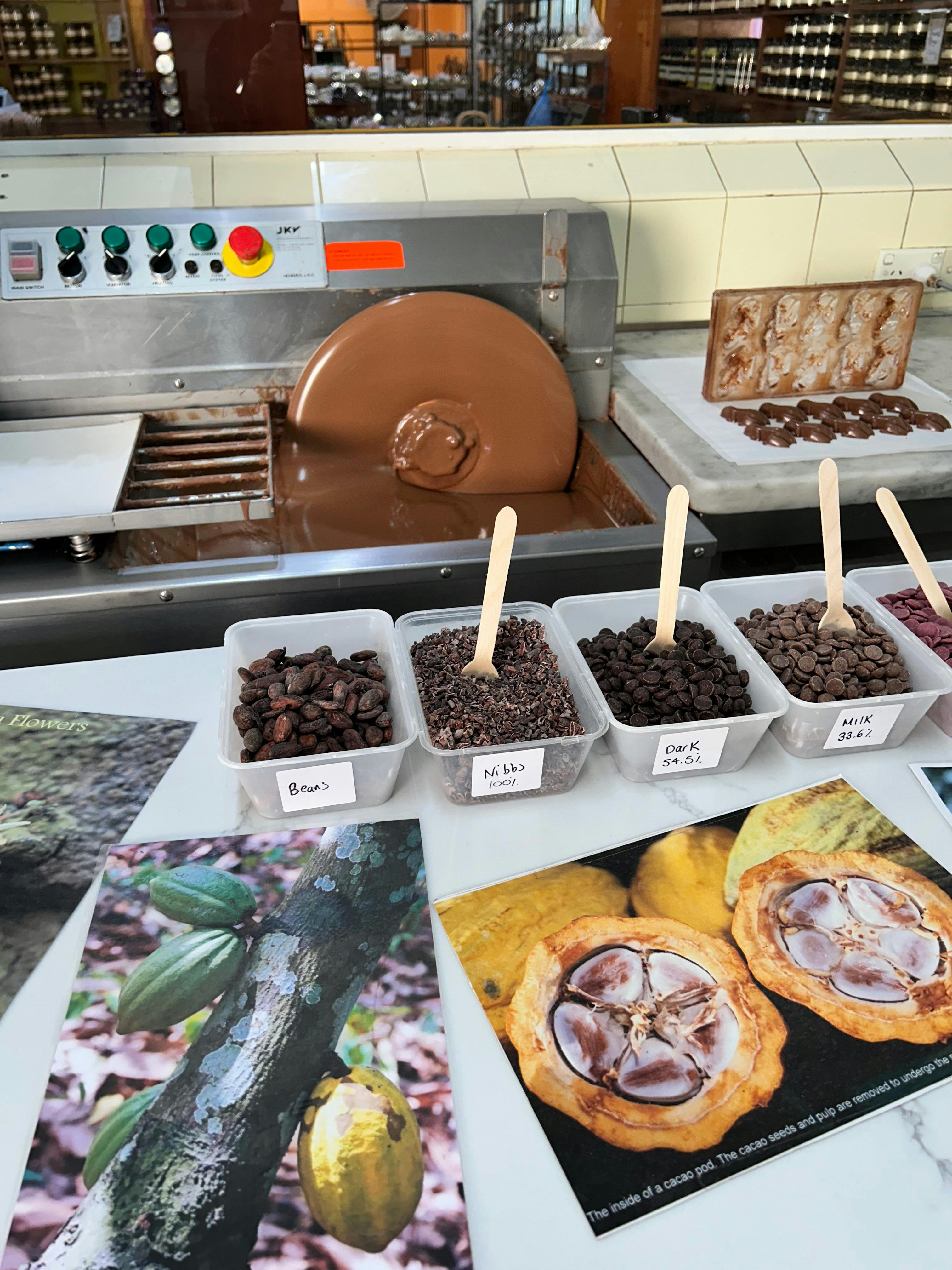 Learn about chocolate at The Treat Factory