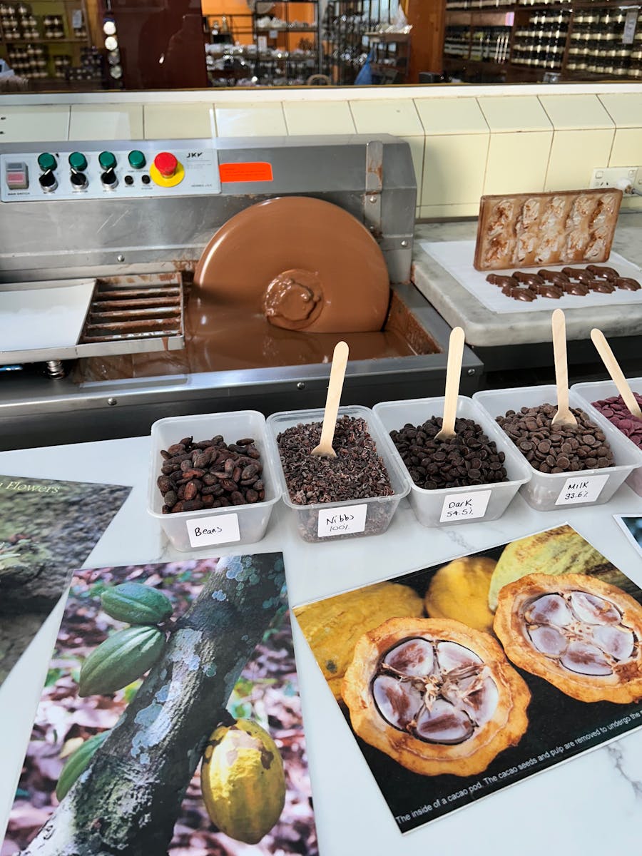 Learn about chocolate at The Treat Factory