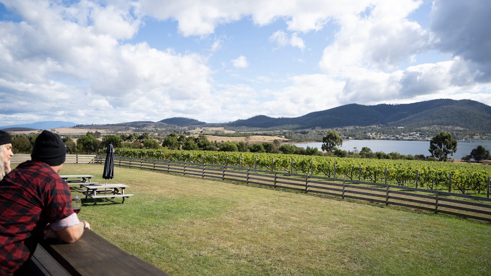 Bangor Vineyard Views