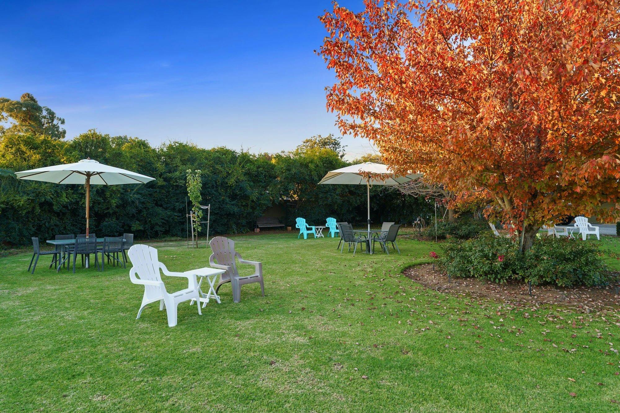 科羅瓦傳統汽車旅館 (Motor Inn Corowa) 美麗的草地和花園區