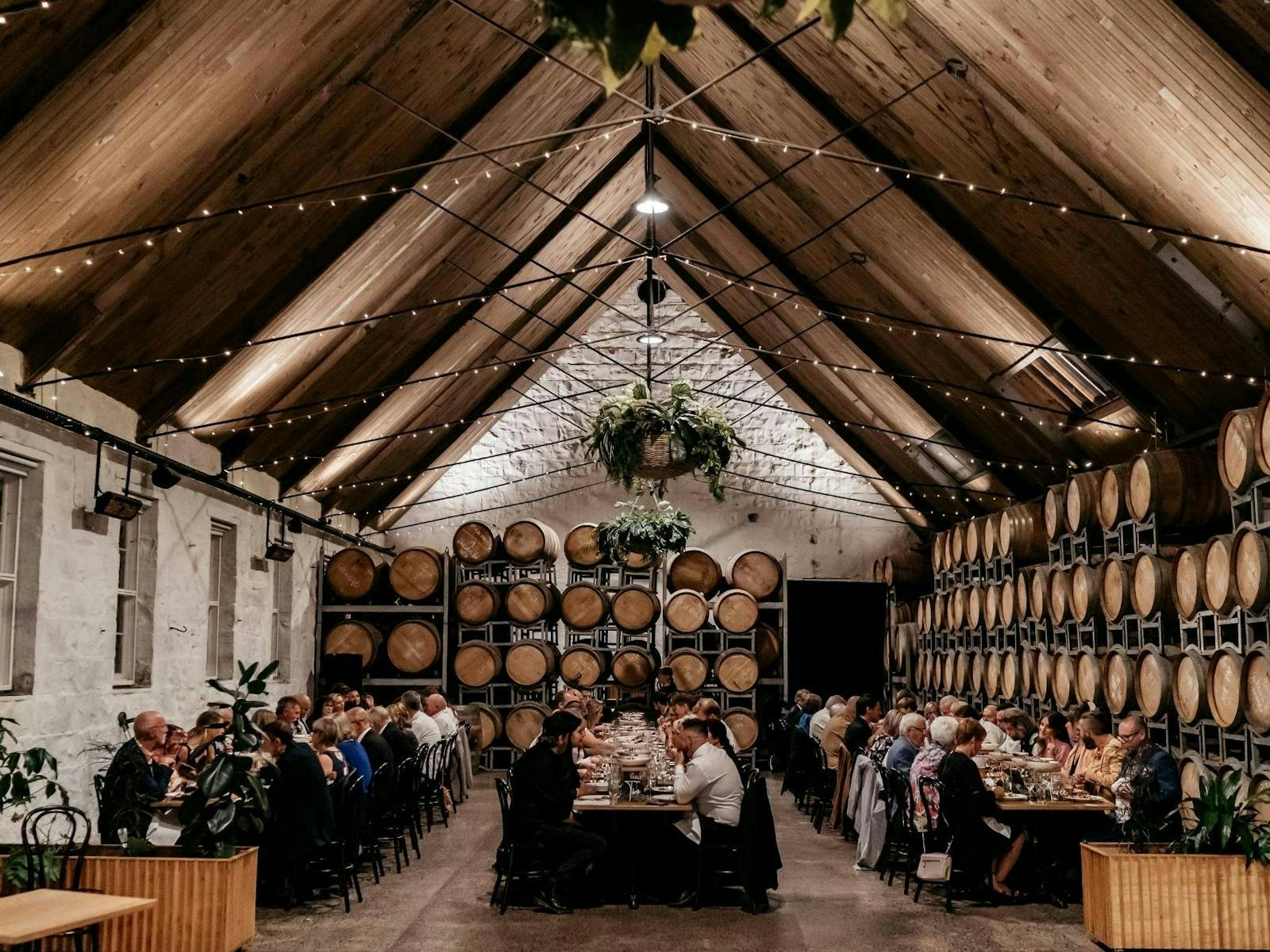 Stars & Bars Festival Geelong 2026 - Provenance Wines