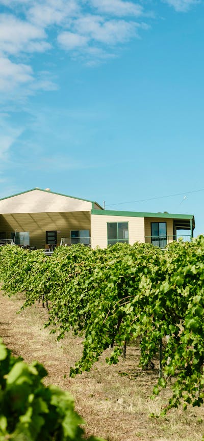 The Vintner's Daughter cellar door and vineyard