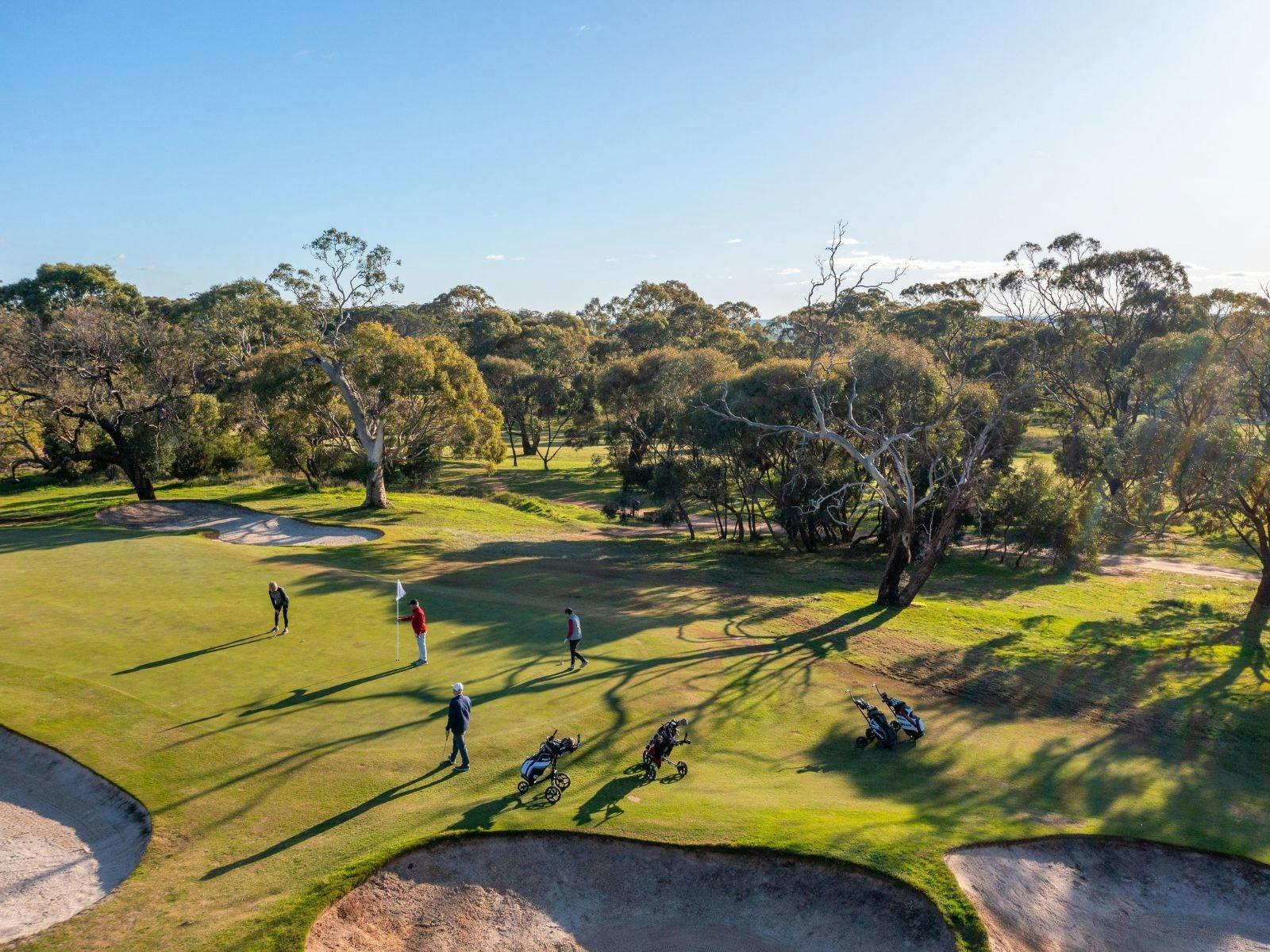Tanunda Golf Club Barossa Valley