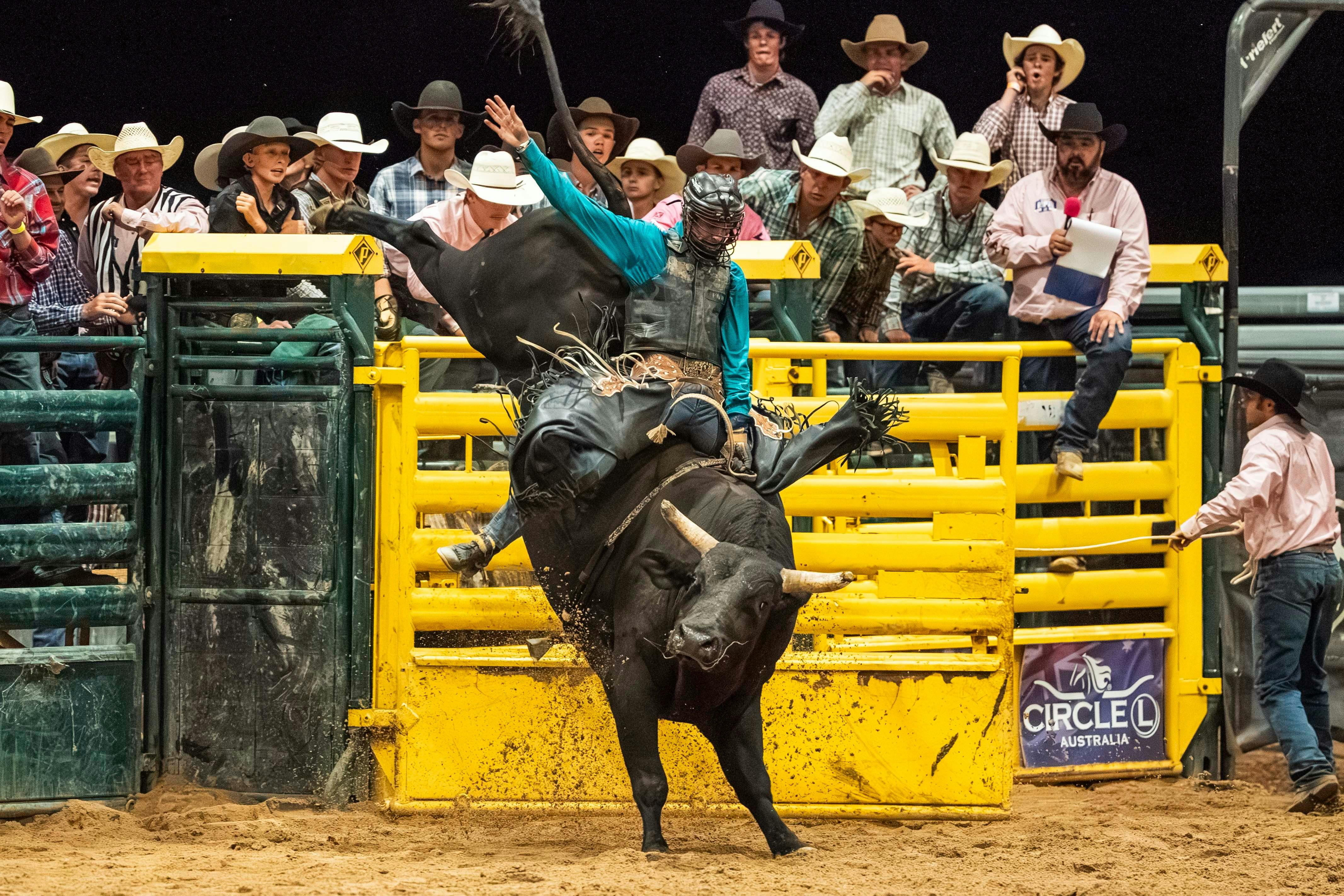 Rodeo Bull Ride