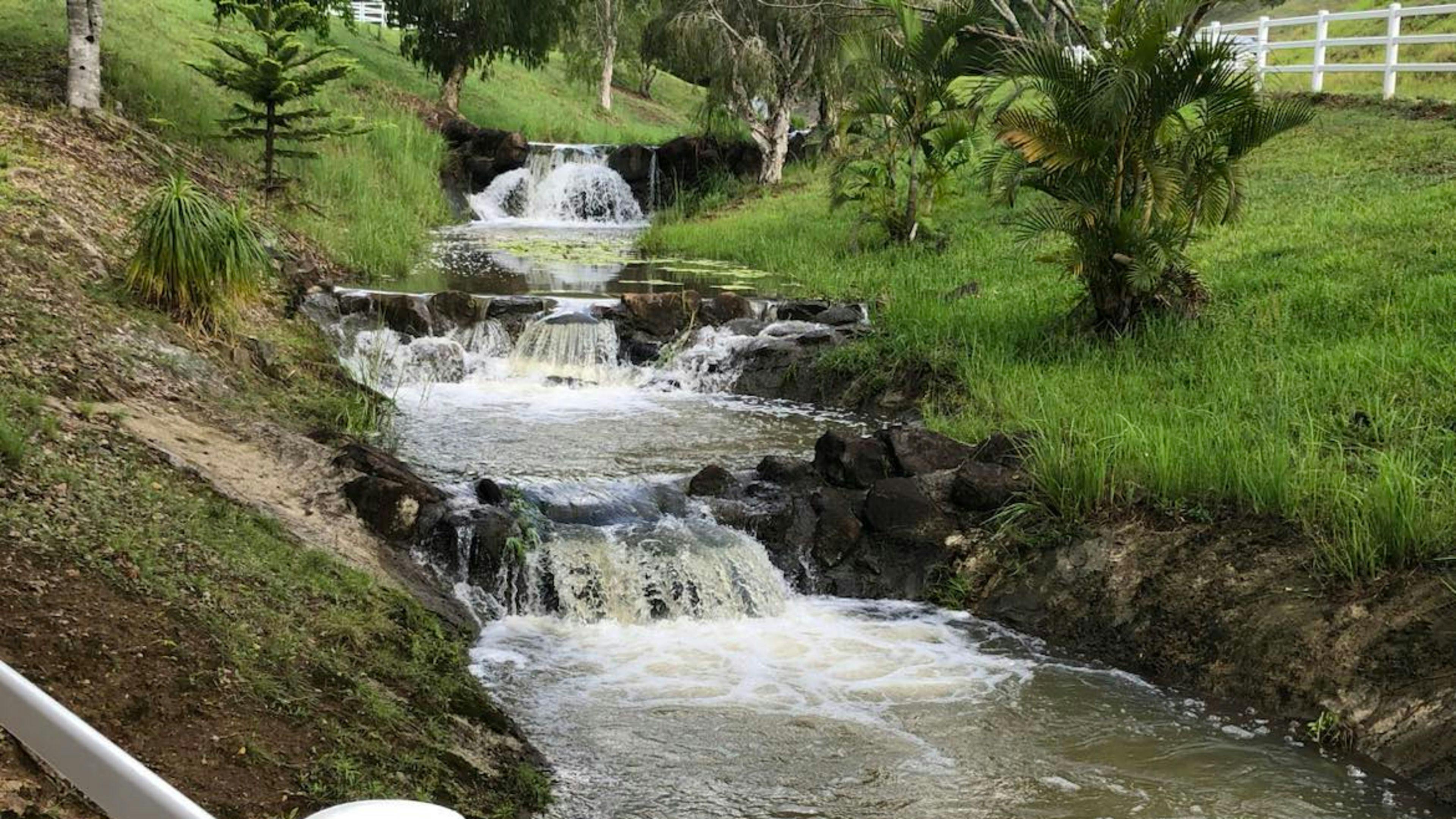 Callemondah Farm Campsites Near Byron Bay