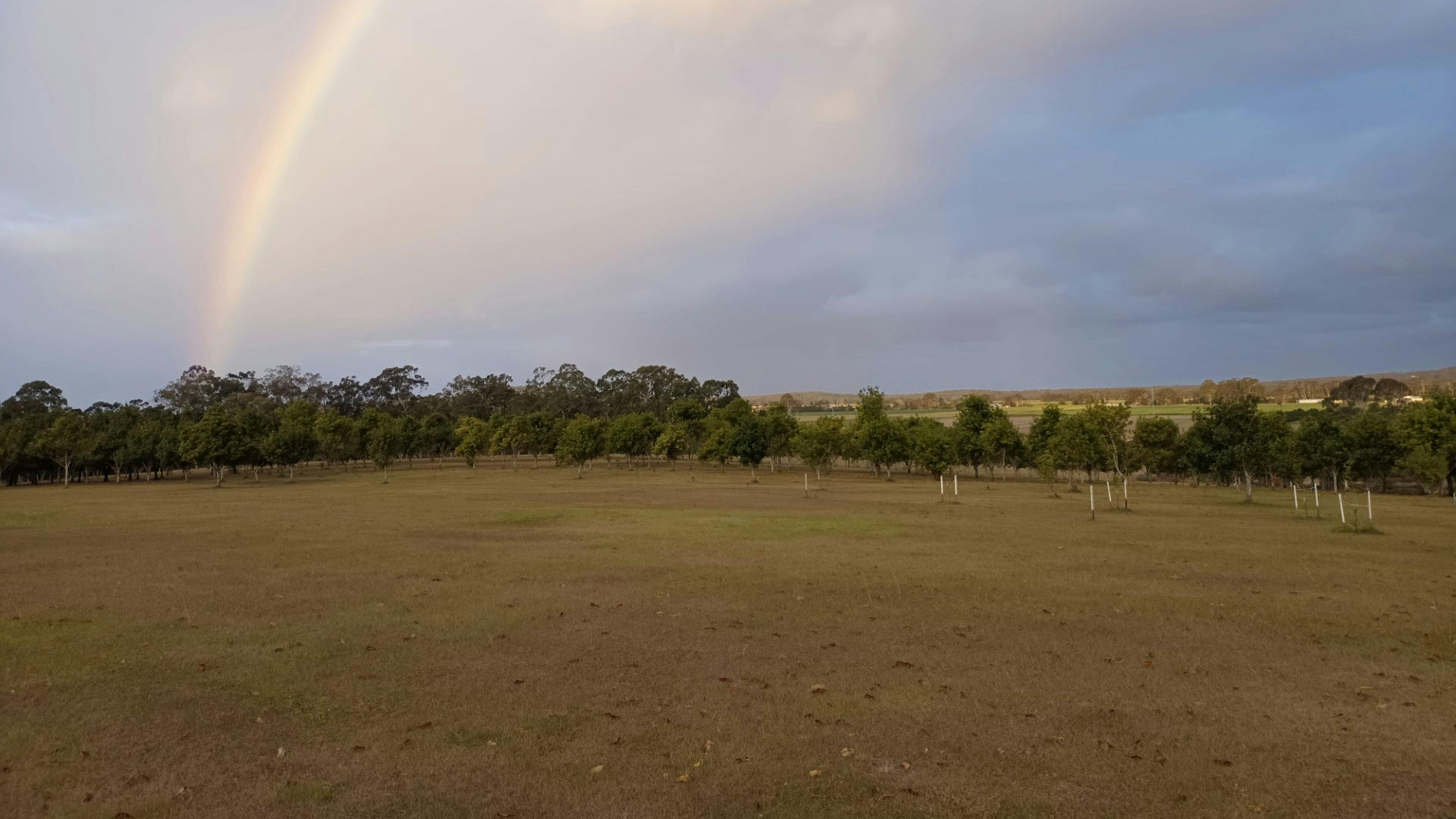 Cambridge Park Macca's