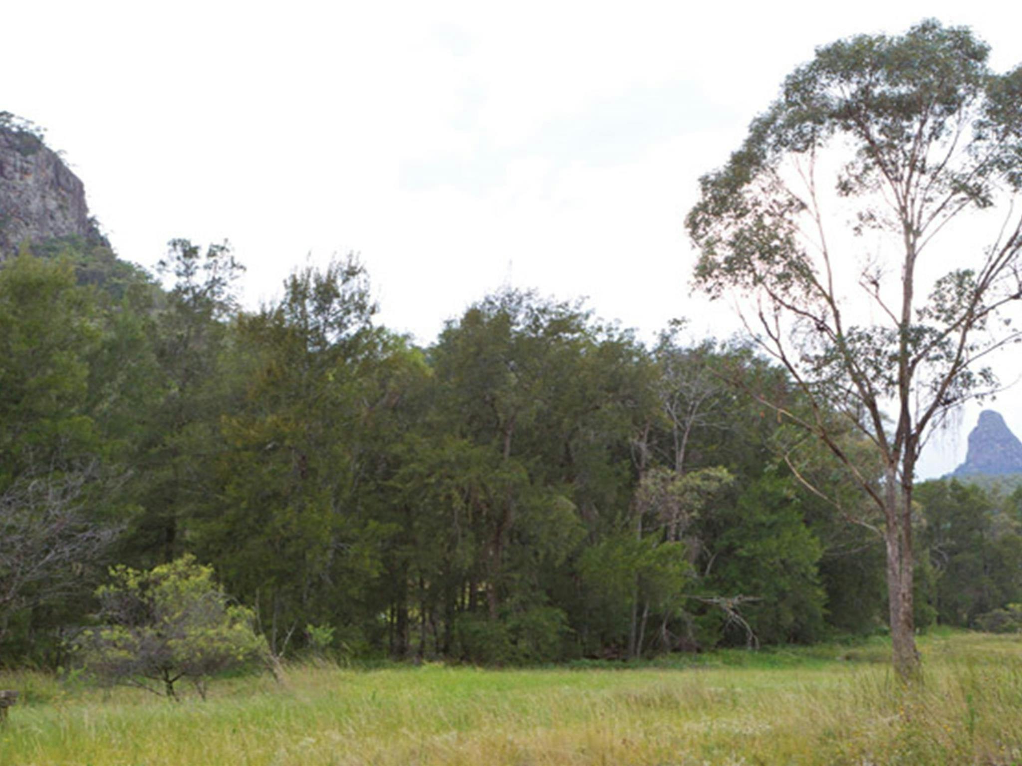 Gunneemooroo campground, Warrumbungle National Park. Photo: Rob Cleary/DPIE