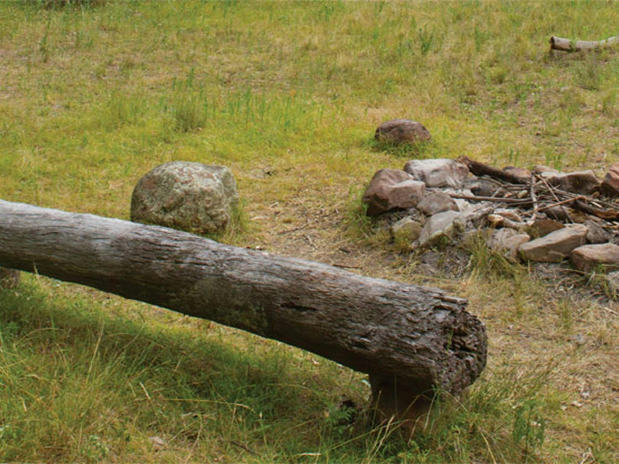 Gunneemooroo campground, Warrumbungle National Park. Photo: Rob Cleary/DPIE
