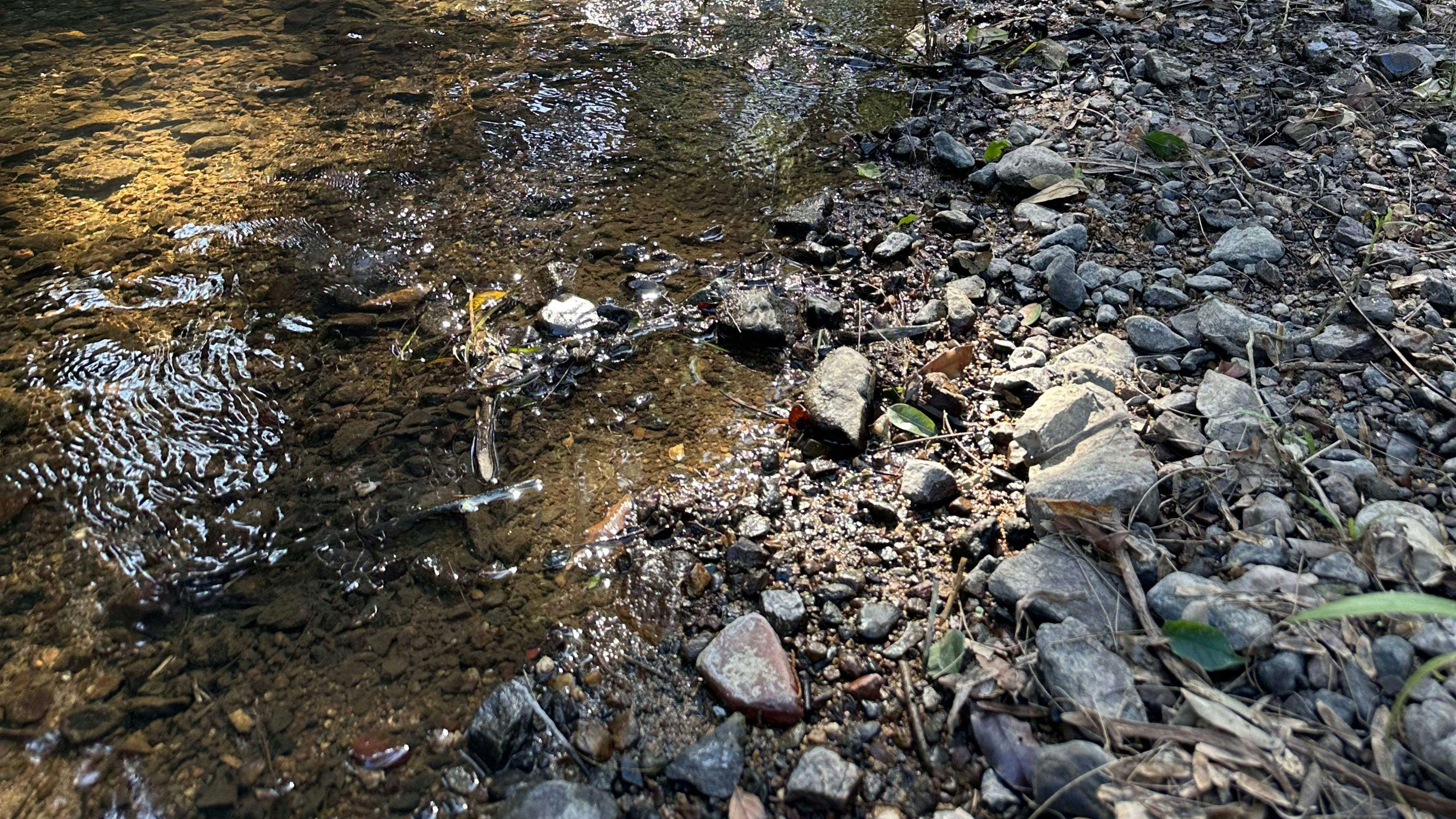 Camp Life By The Creek