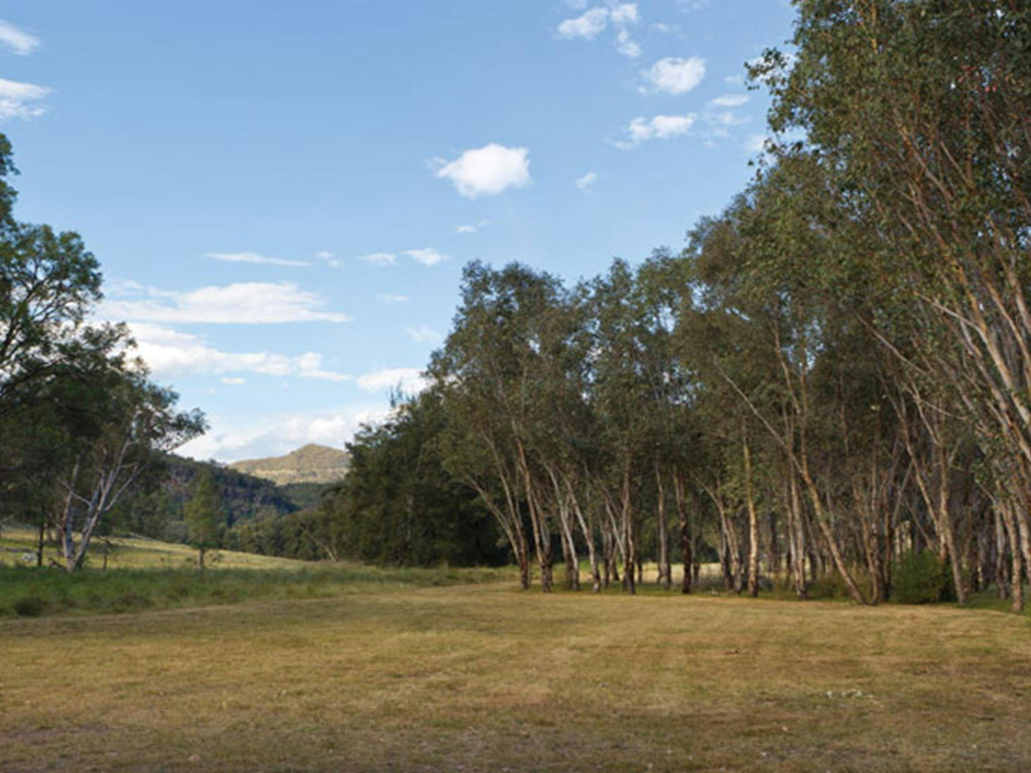 Camp Waalay, Warrumbungle National Park. Photo: Rob Cleary/DPIE