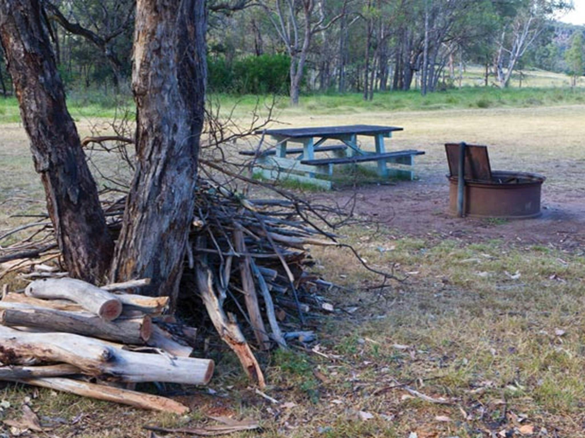 Camp Waalay, Warrumbungle-Nationalpark. Foto: Rob Cleary/DPIE