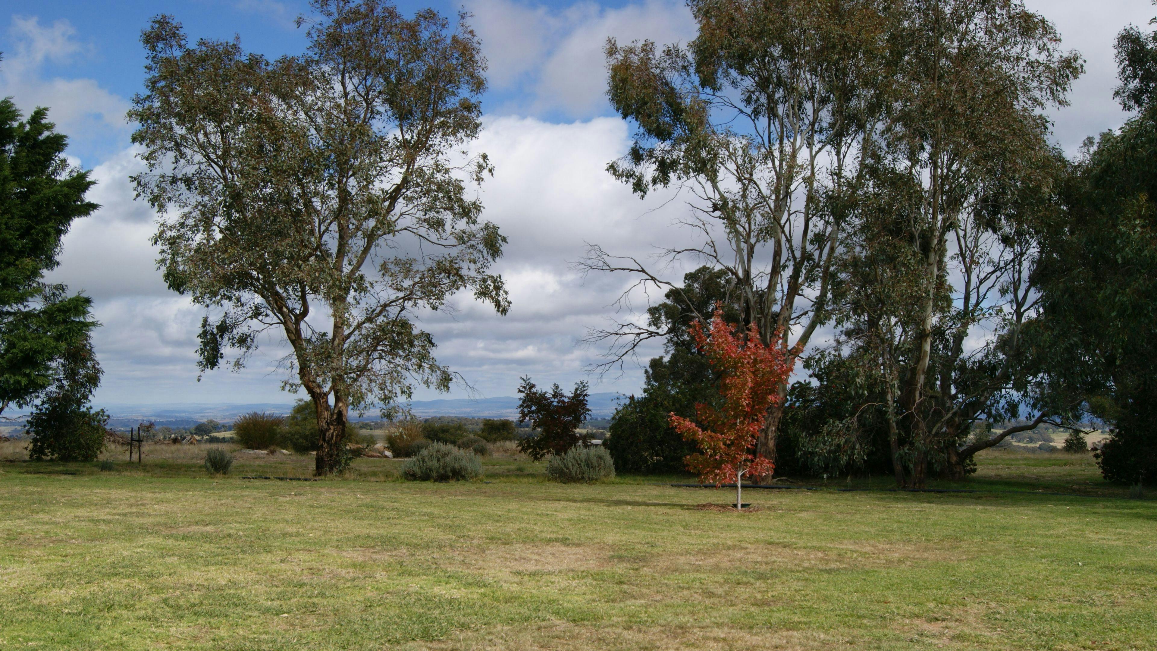 Camp Yarrindi