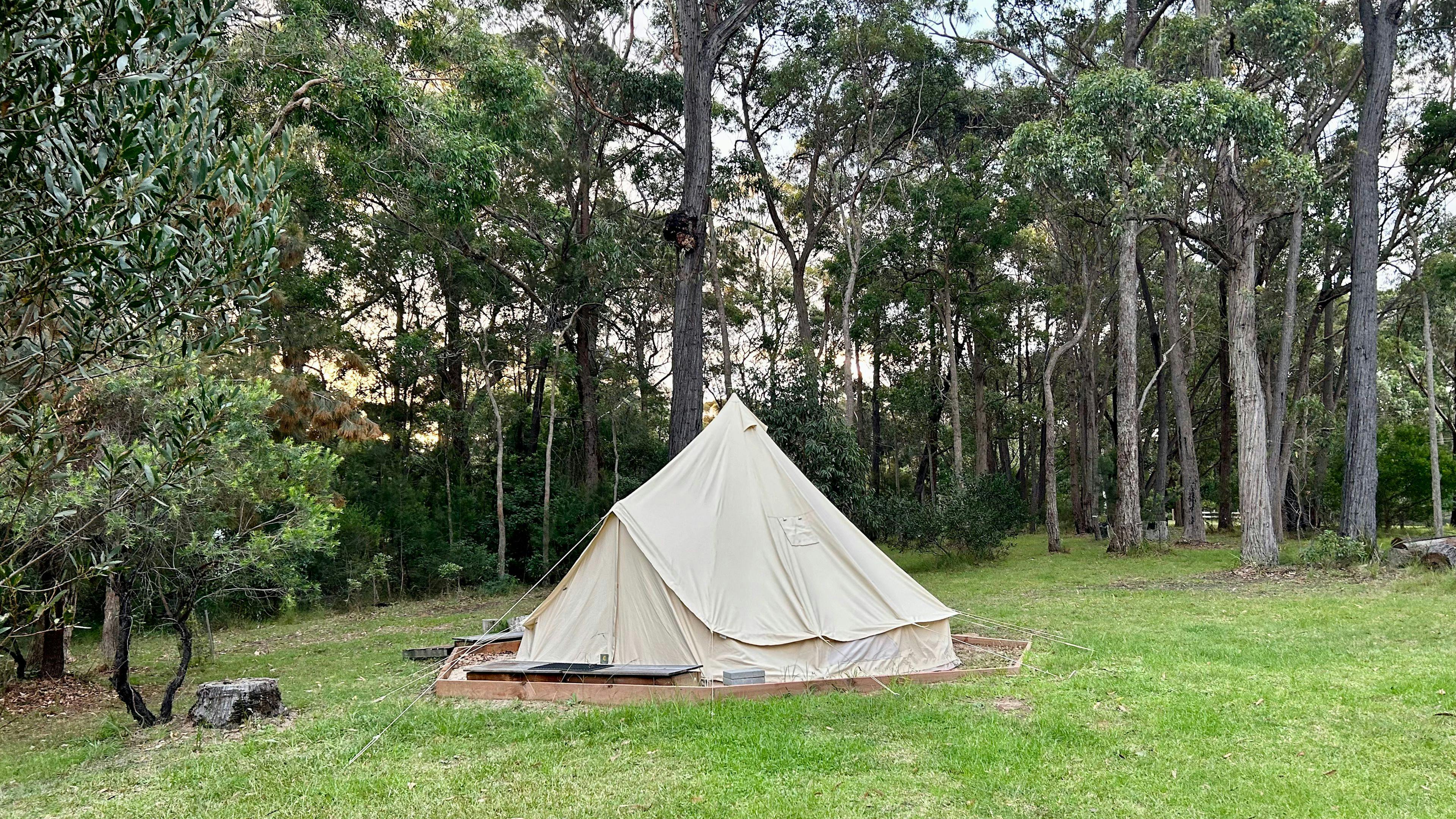 Camping at Bermagui