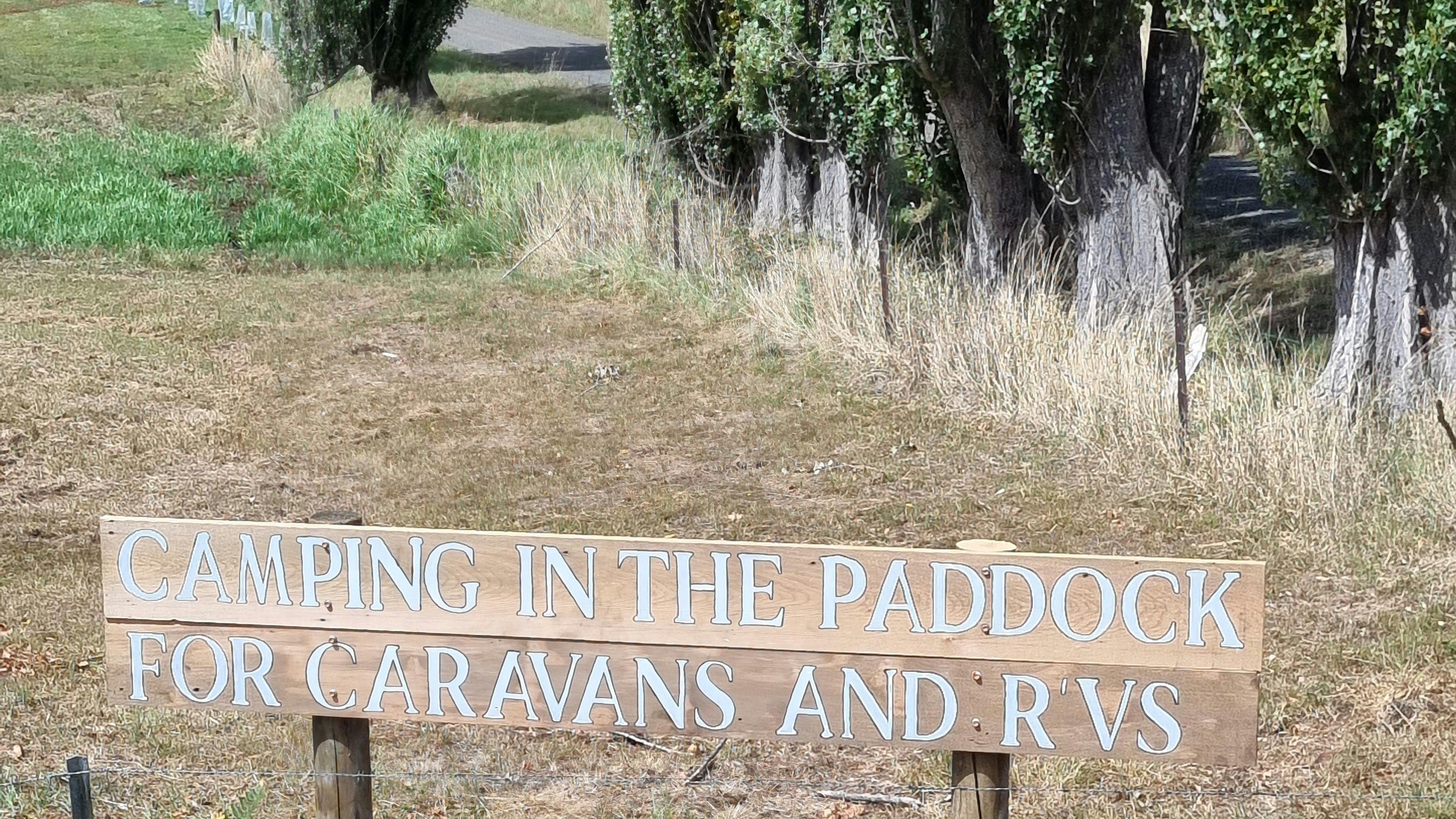 Camping in the Paddock Wilmot