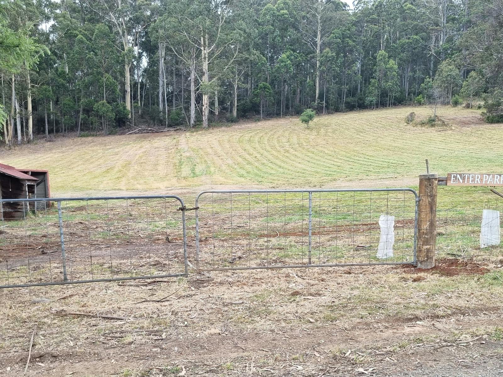 Camping in the Paddock Wilmot