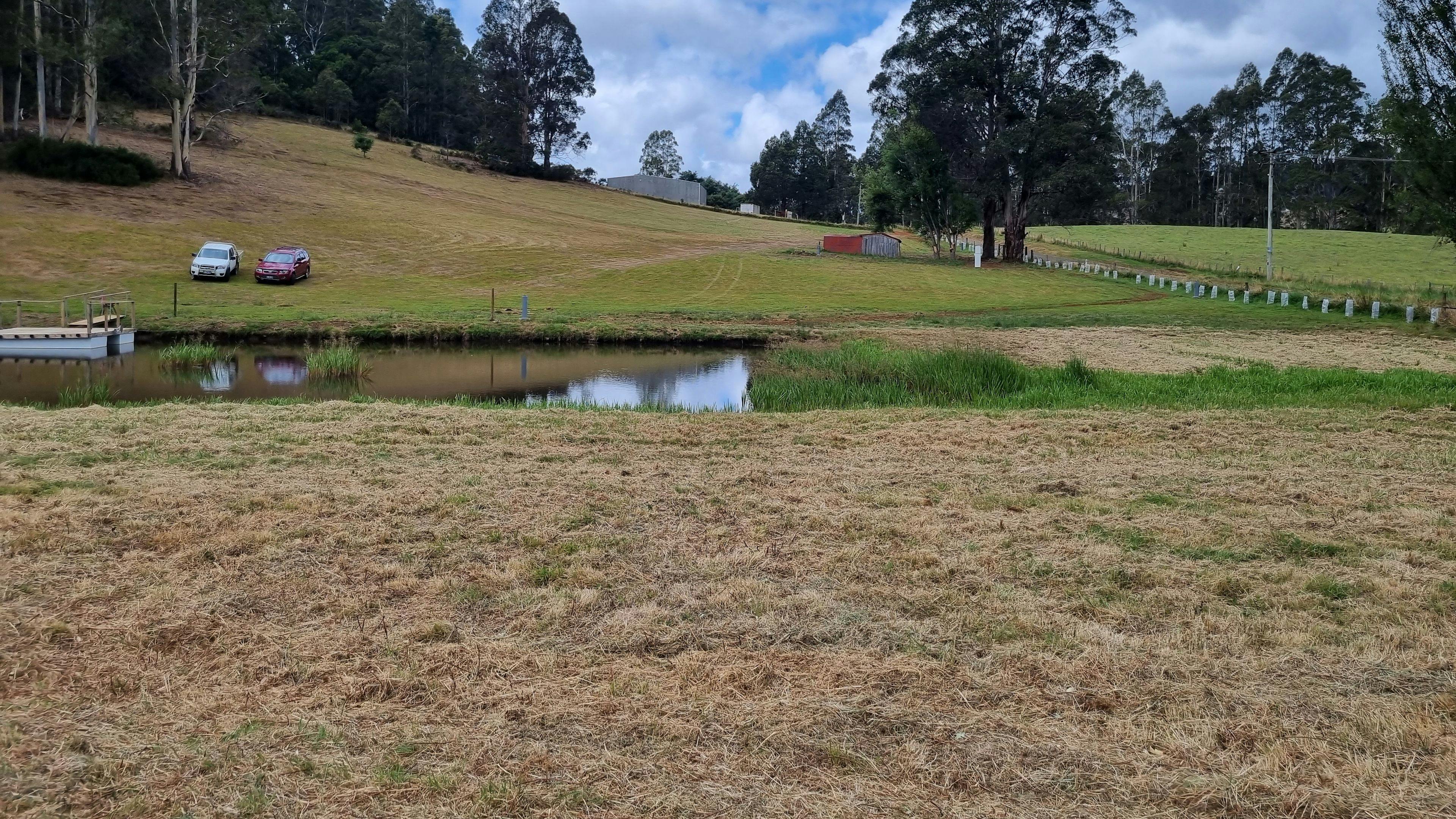 Camping in the Paddock Wilmot