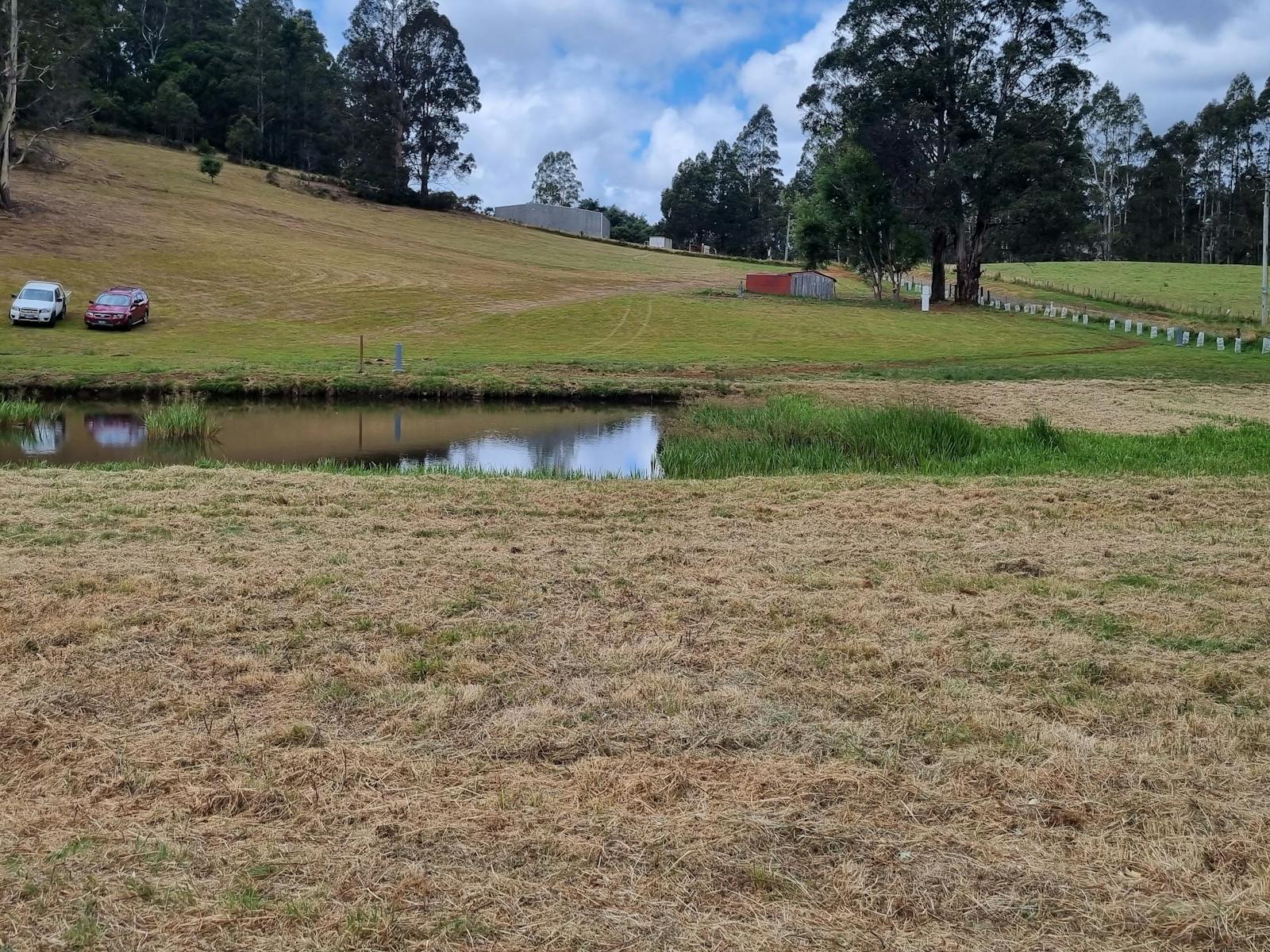Camping in the Paddock Wilmot