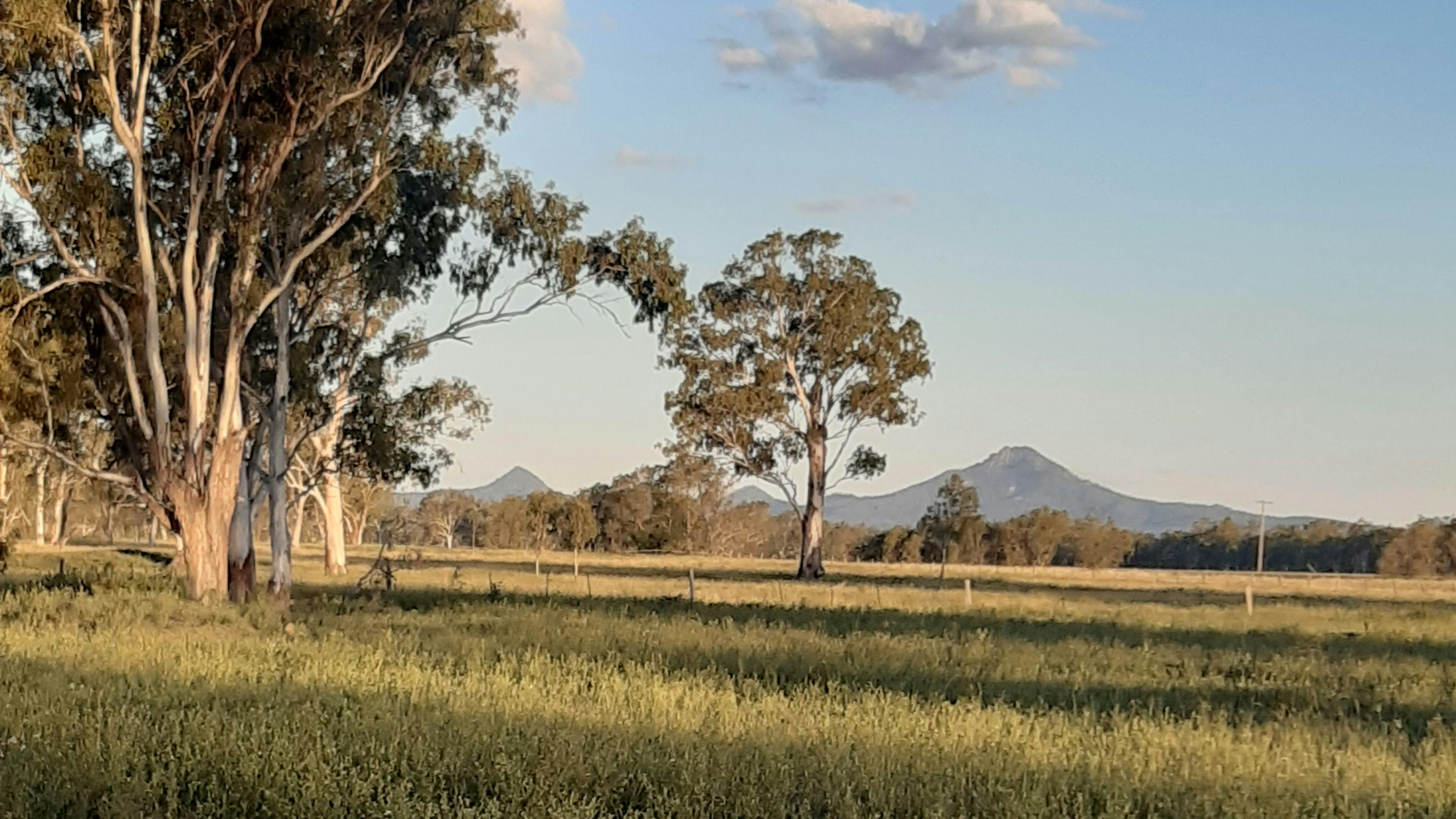 Camping near Willowbank Raceway