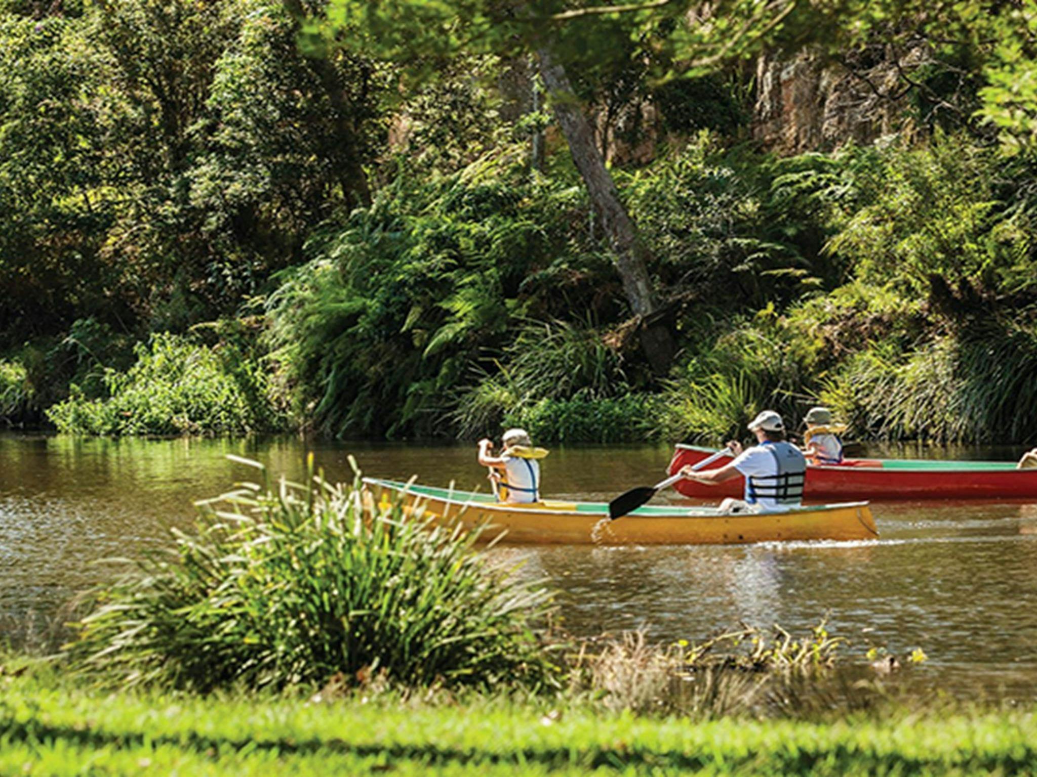 Family canoeing near Audley in Royal National Park: David Finnegan/OEH