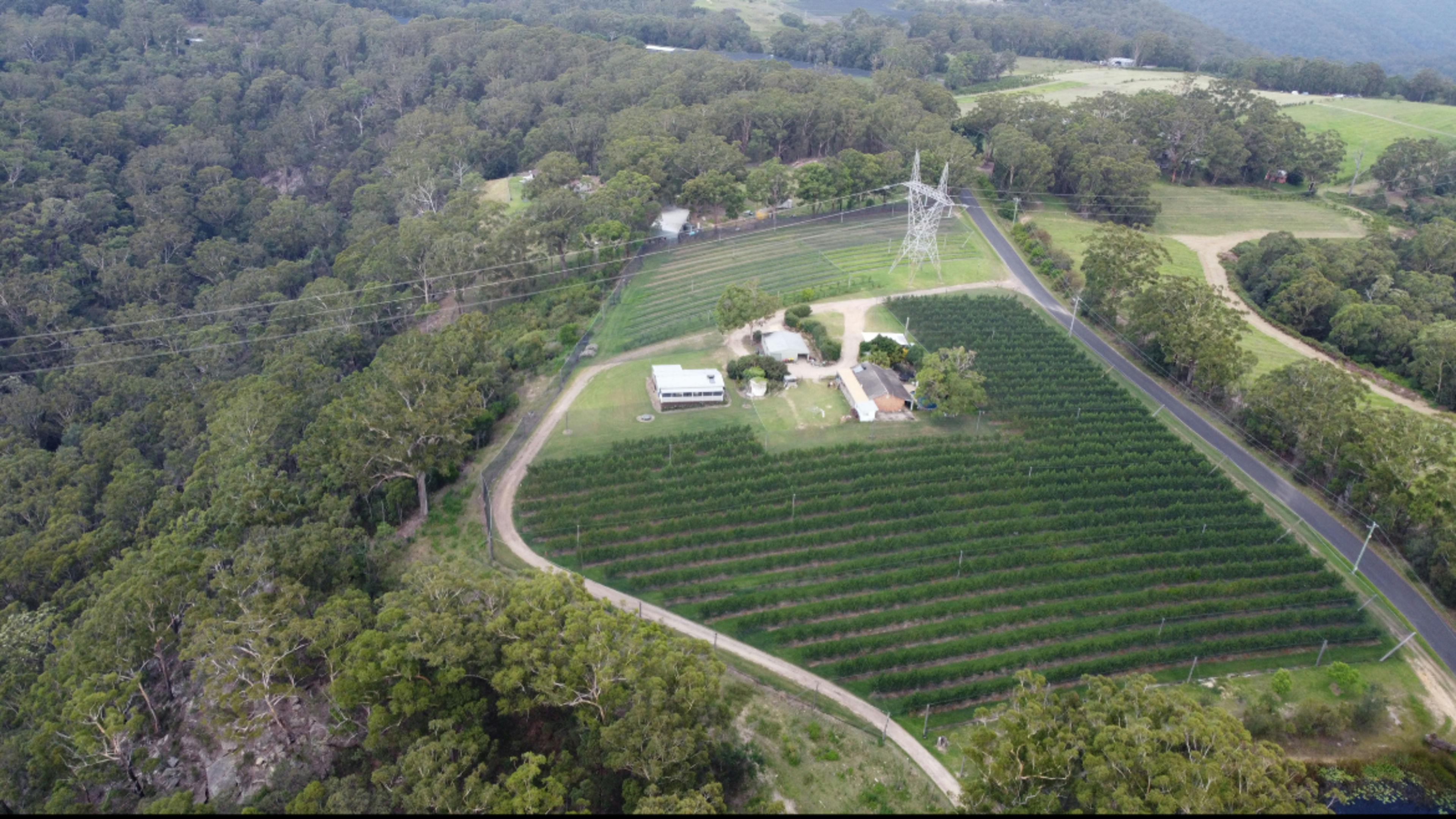 Canoelands Orchard Camping