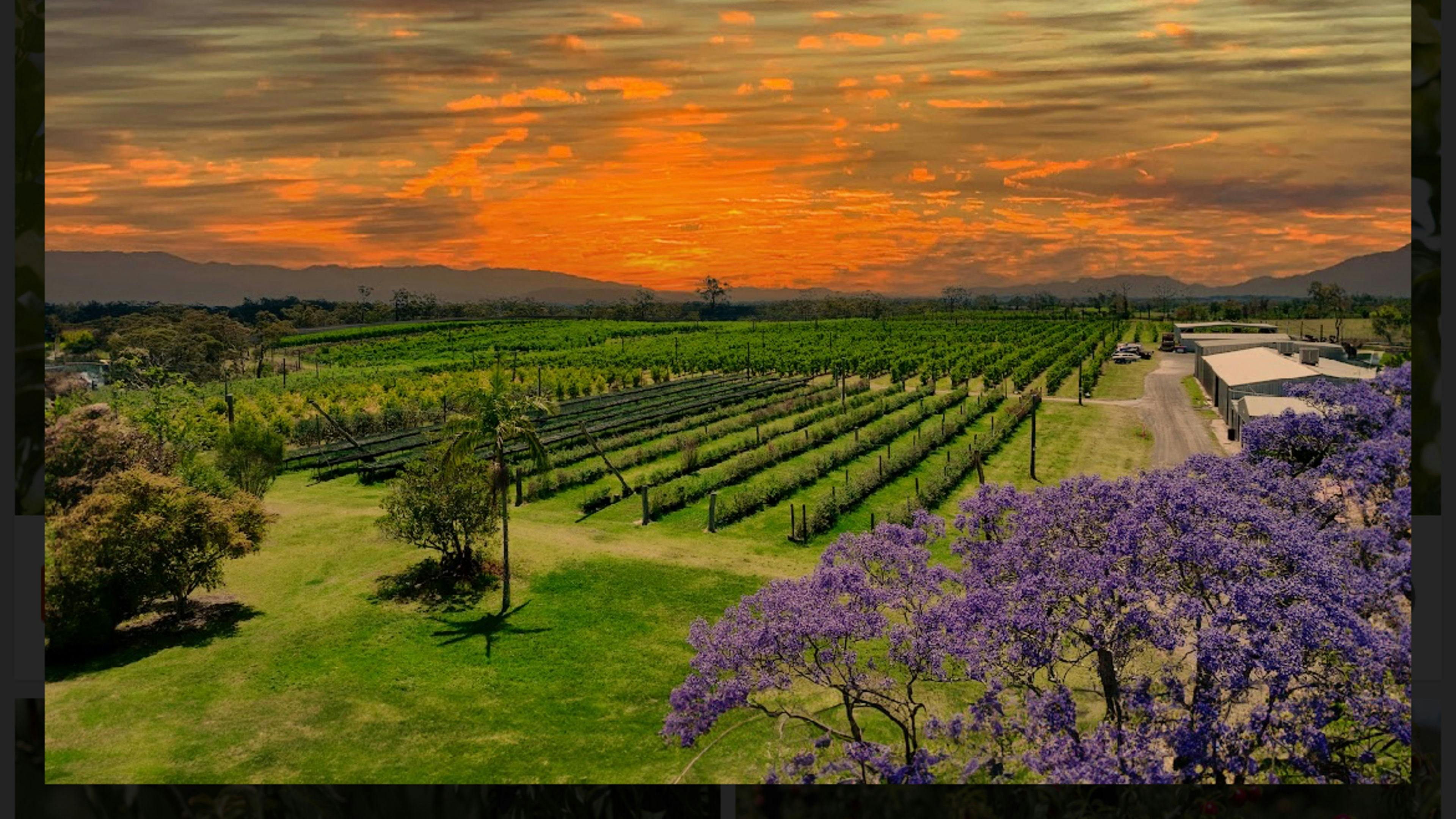 Canoelands Orchard Camping